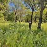 L'ecrin Des Bois Villa Belgodère
