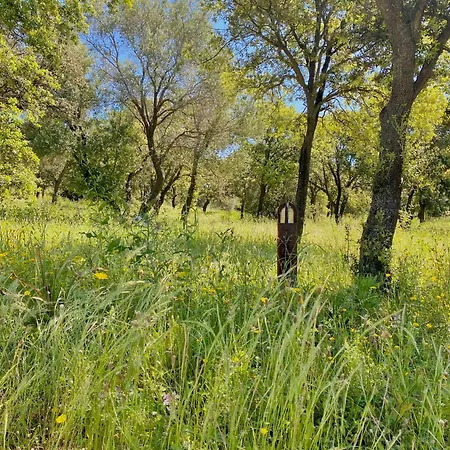 L'écrin Des Bois Villa Belgodère