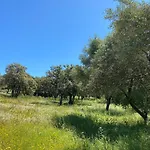 L'ecrin Des Bois *