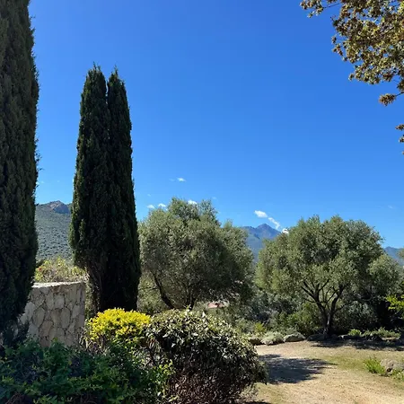 Les Bois De Capra Scorsa Villa Belgodere (Corsica)