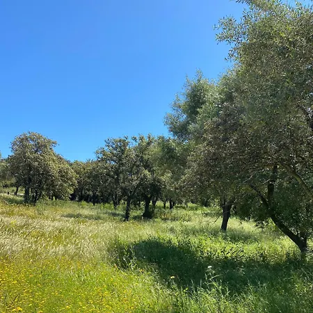 Les Bois De Capra Scorsa *