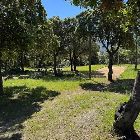 Les Bois De Capra Scorsa Belgodere (Corsica)