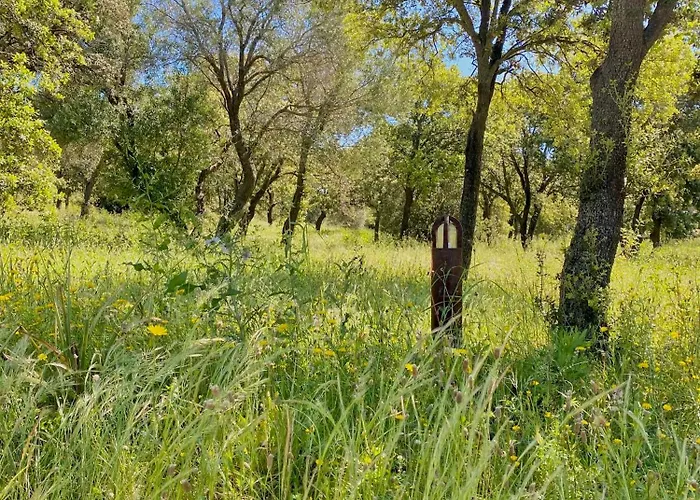 L'ecrin Des Bois וילה Belgodère