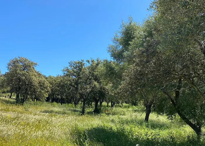 L'ecrin Des Bois *