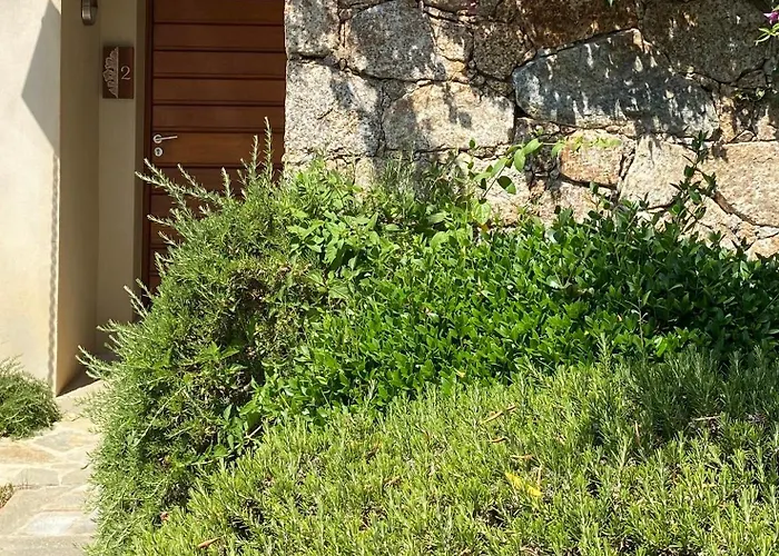 וילה L'ecrin Des Bois Belgodère